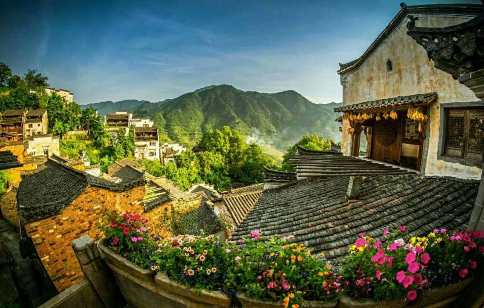 婺源何止是中国最美的乡村，婺源的美在于自然 婺源旅游攻略-介绍婺源油菜花|婺源景点|中国最美的乡村婺源